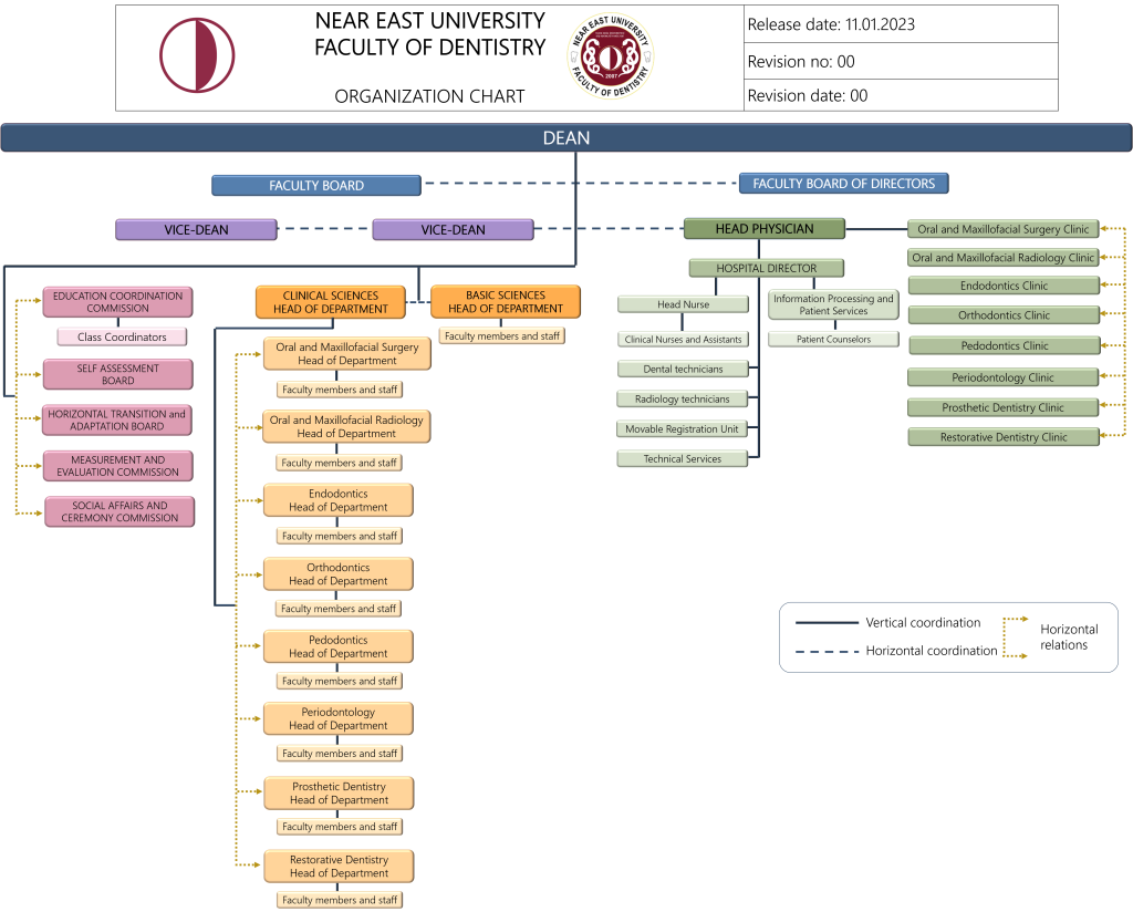 Organization Chart – NEU, Faculty of Dentistry